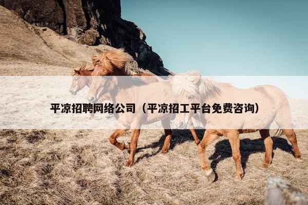 平凉招聘网络公司（平凉招工平台免费咨询）