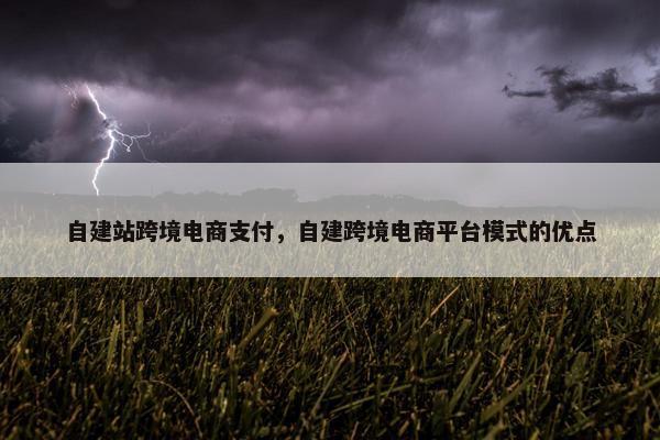自建站跨境电商支付，自建跨境电商平台模式的优点