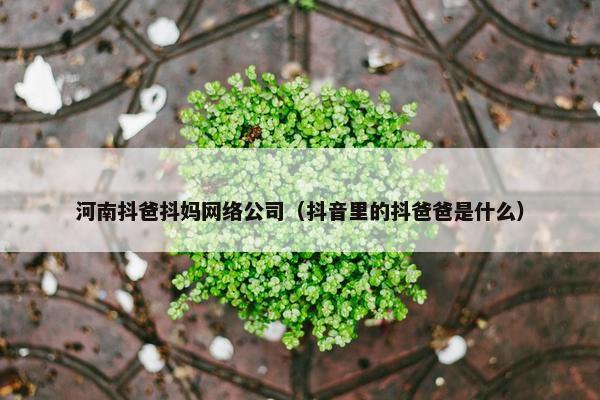 河南抖爸抖妈网络公司（抖音里的抖爸爸是什么）