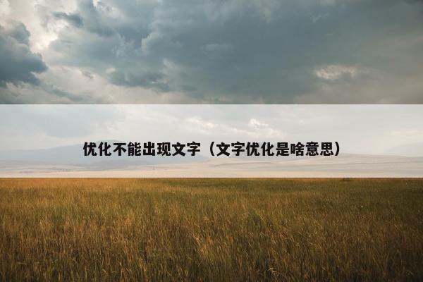 优化不能出现文字（文字优化是啥意思）