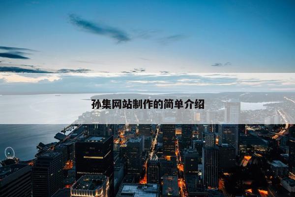 孙集网站制作的简单介绍