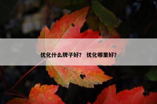 优化什么牌子好？ 优化哪里好？