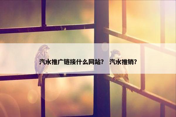 汽水推广链接什么网站？ 汽水推销？