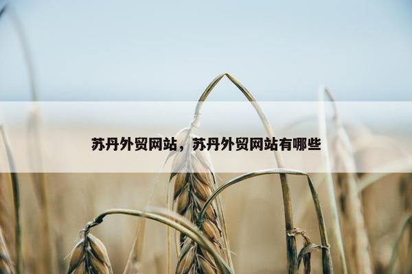 苏丹外贸网站，苏丹外贸网站有哪些