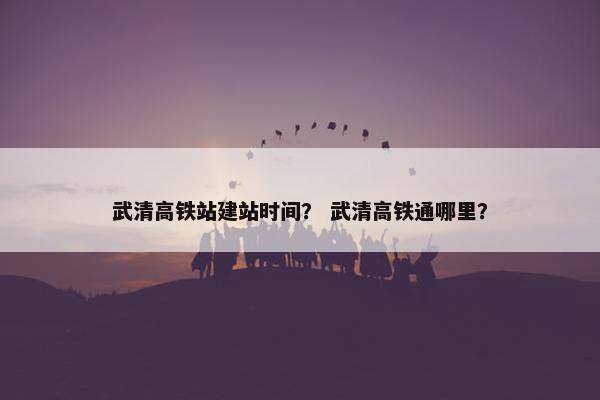 武清高铁站建站时间？ 武清高铁通哪里？