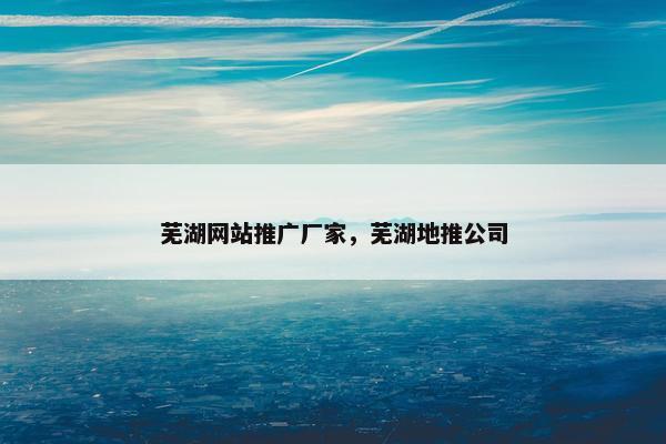 芜湖网站推广厂家，芜湖地推公司