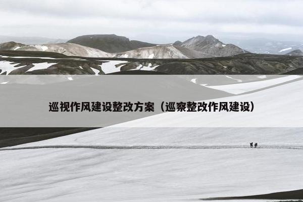 巡视作风建设整改方案（巡察整改作风建设）