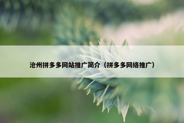 沧州拼多多网站推广简介（拼多多网络推广）