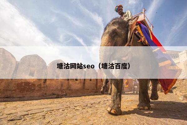 塘沽网站seo（塘沽百度）