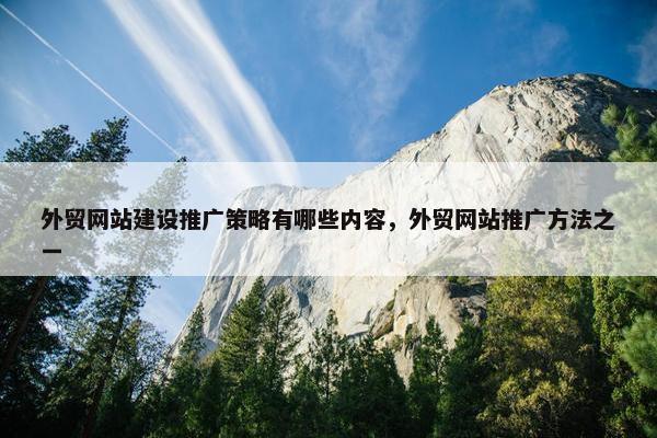 外贸网站建设推广策略有哪些内容，外贸网站推广方法之一