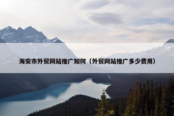 海安市外贸网站推广如何（外贸网站推广多少费用）