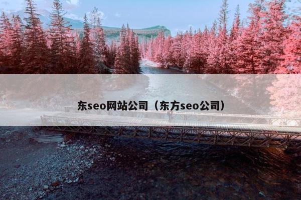 东seo网站公司（东方seo公司）