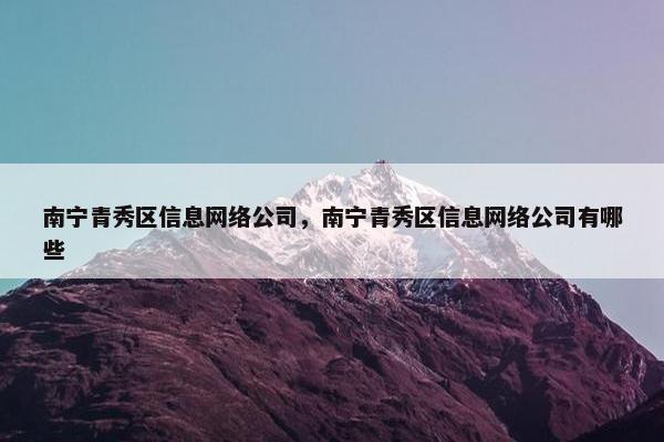 南宁青秀区信息网络公司，南宁青秀区信息网络公司有哪些