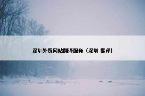 深圳外贸网站翻译服务（深圳 翻译）