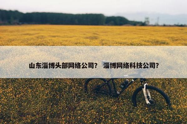 山东淄博头部网络公司？ 淄博网络科技公司？