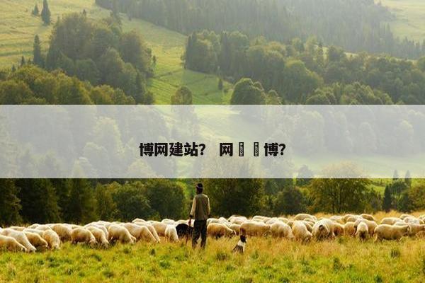 博网建站？ 网暏暏博？