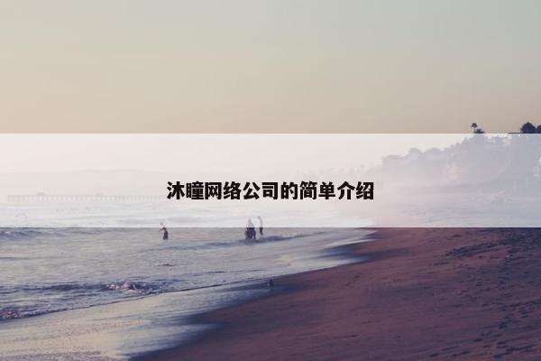 沐瞳网络公司的简单介绍
