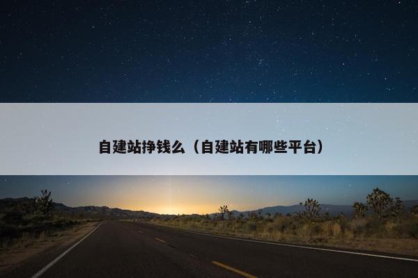 自建站挣钱么（自建站有哪些平台）