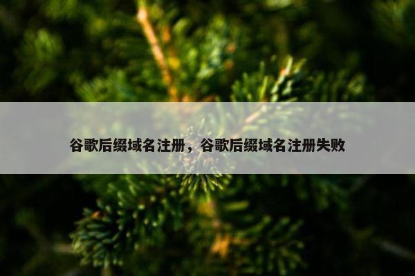 谷歌后缀域名注册，谷歌后缀域名注册失败