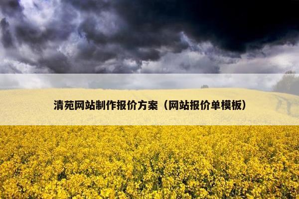 清苑网站制作报价方案（网站报价单模板）