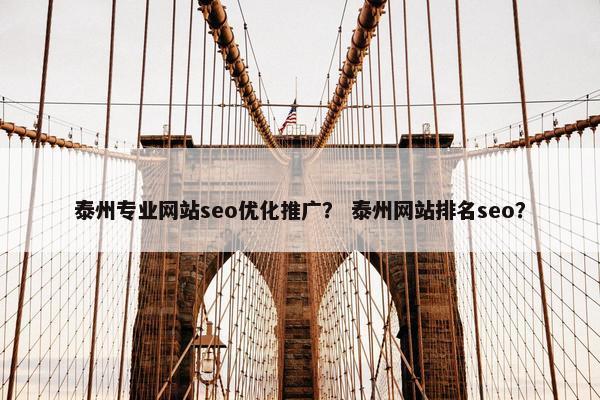 泰州专业网站seo优化推广？ 泰州网站排名seo？