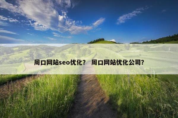 周口网站seo优化？ 周口网站优化公司？