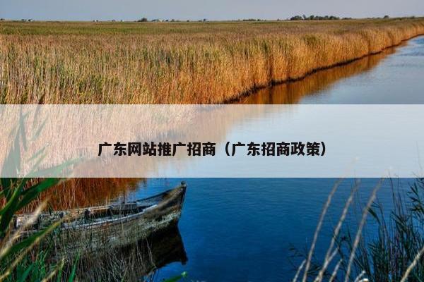 广东网站推广招商（广东招商政策）