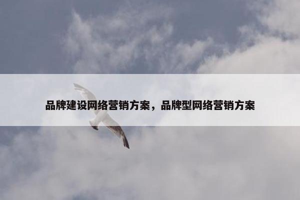 品牌建设网络营销方案，品牌型网络营销方案
