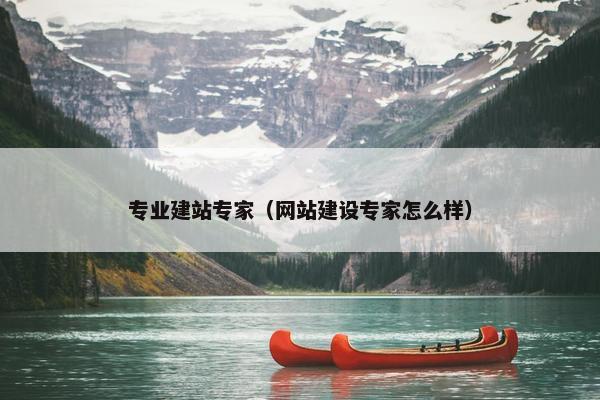 专业建站专家（网站建设专家怎么样）