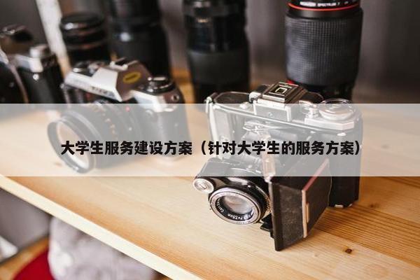 大学生服务建设方案（针对大学生的服务方案）