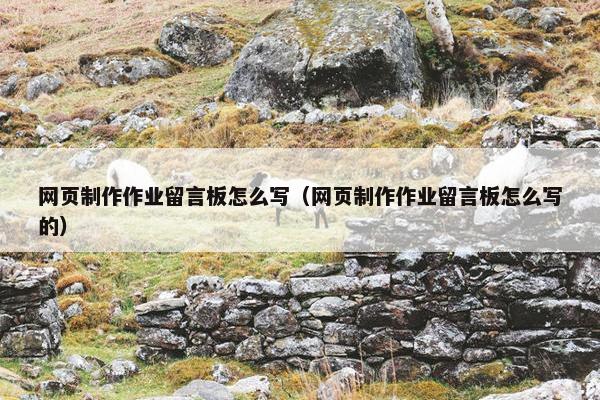 网页制作作业留言板怎么写（网页制作作业留言板怎么写的）