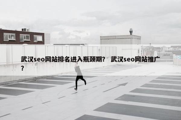 武汉seo网站排名进入瓶颈期？ 武汉seo网站推广？