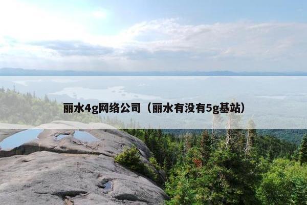 丽水4g网络公司（丽水有没有5g基站）