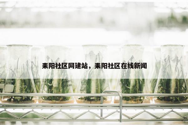 耒阳社区网建站，耒阳社区在线新闻