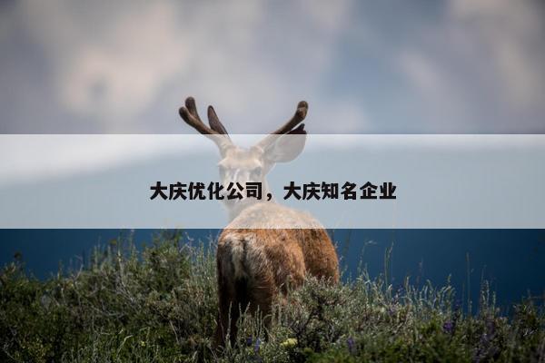 大庆优化公司，大庆知名企业