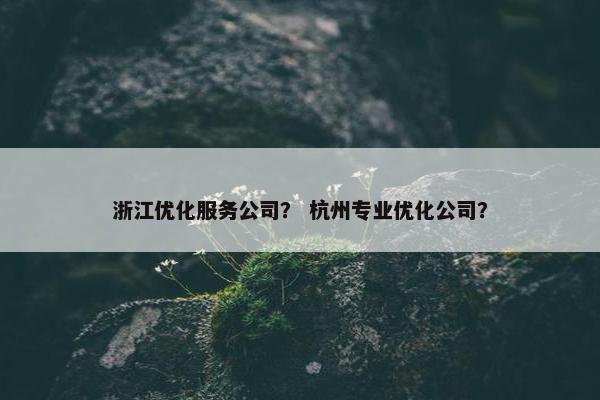 浙江优化服务公司？ 杭州专业优化公司？