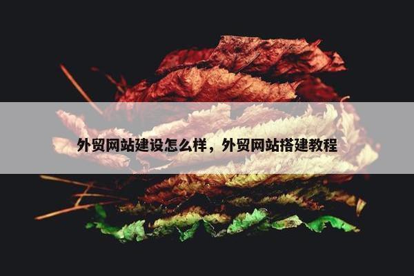 外贸网站建设怎么样，外贸网站搭建教程