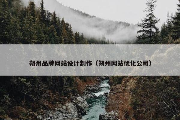 朔州品牌网站设计制作（朔州网站优化公司）