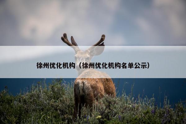 徐州优化机构（徐州优化机构名单公示）