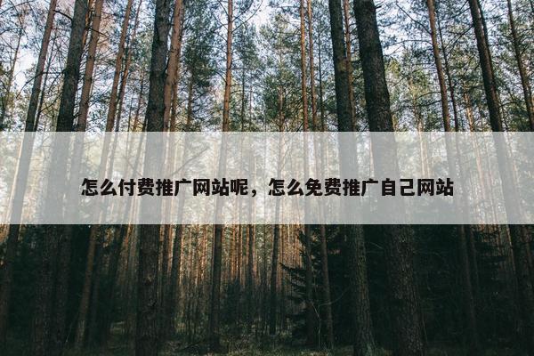 怎么付费推广网站呢，怎么免费推广自己网站