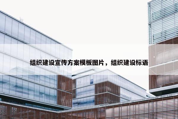 组织建设宣传方案模板图片，组织建设标语