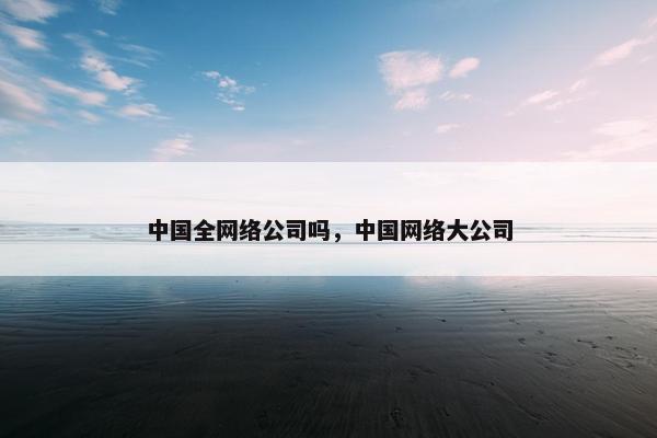 中国全网络公司吗，中国网络大公司