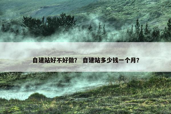 自建站好不好做？ 自建站多少钱一个月？