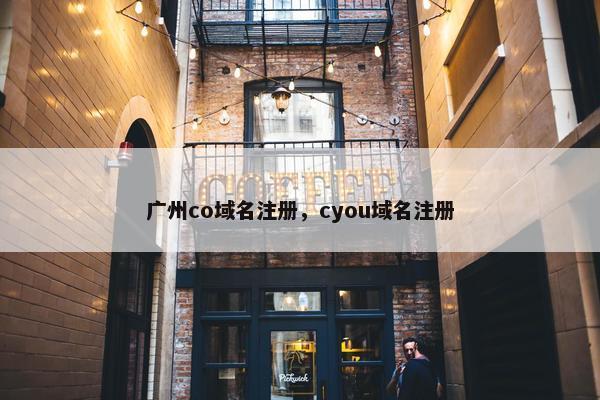 广州co域名注册，cyou域名注册