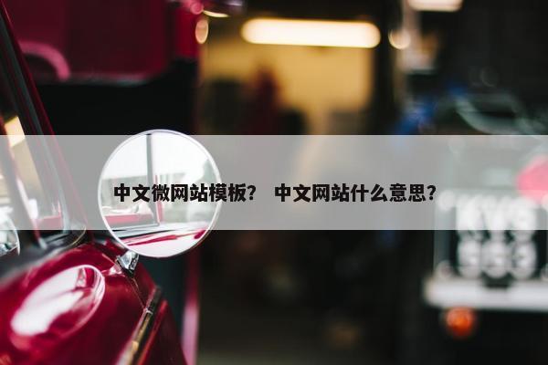 中文微网站模板？ 中文网站什么意思？