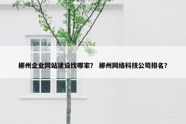 郴州企业网站建设找哪家？ 郴州网络科技公司排名？