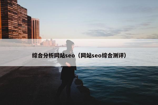 综合分析网站seo（网站seo综合测评）