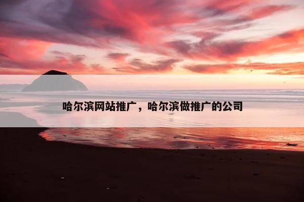 哈尔滨网站推广，哈尔滨做推广的公司