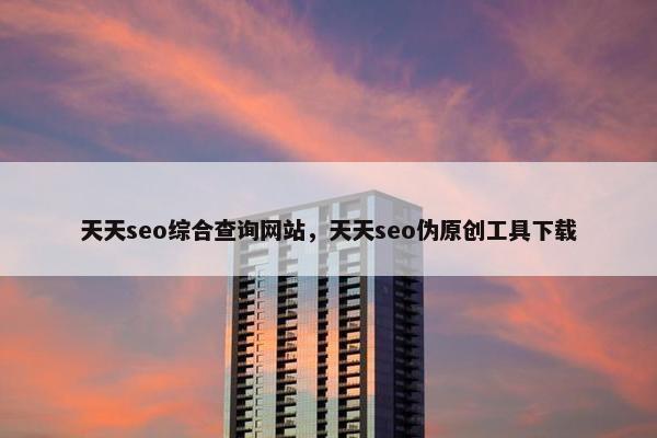 天天seo综合查询网站，天天seo伪原创工具下载