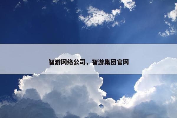 智游网络公司，智游集团官网